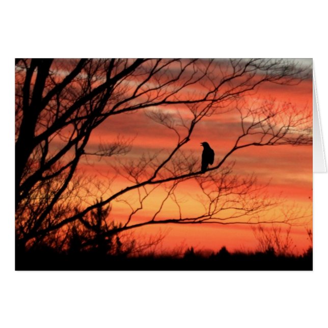 Lone Raven Calling (Voorkant Horizontaal)