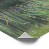 Lone Red Winged Blackbird Painting Natuur Poster (Hoek)