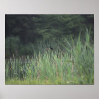 Lone Red Winged Blackbird Painting Natuur