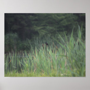 Lone Red Winged Blackbird Painting Natuur Poster