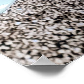 Lone Rider cafe cruise. Poster (Hoek)