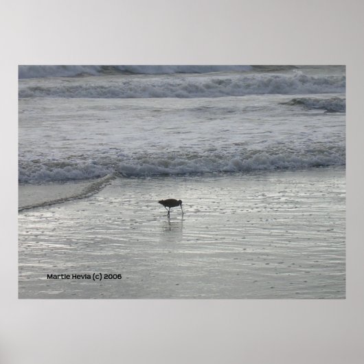 Lone Sandpiper bij Watsonville Beach Poster (Voorkant)