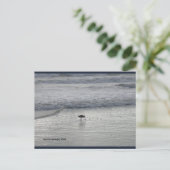 Lone Sandpiper | Blue Beach Song™-Briefkaart Briefkaart (Staand voorkant)