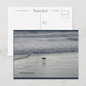Lone Sandpiper | Blue Beach Song™-Briefkaart Briefkaart (Voorkant / Achterkant)