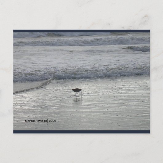Lone Sandpiper | Blue Beach Song™-Briefkaart Briefkaart (Voorkant)