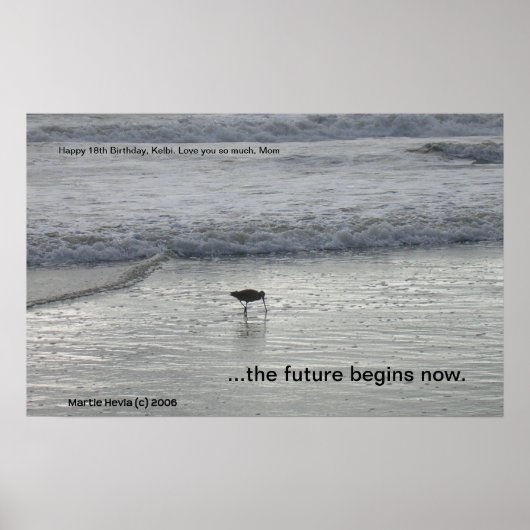 Lone Sandpiper Print (personaliseren) (Voorkant)