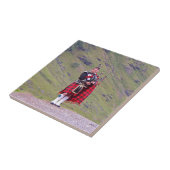 Lone Scottish bagpiper, Highlands, Schotland Tegeltje (Zijkant)