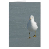 Lone Seagull op Mississippi, Ice (Voorkant)