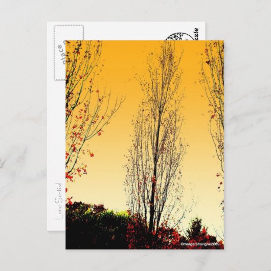 "Lone Sentinel" Briefkaart (Voorkant / Achterkant)