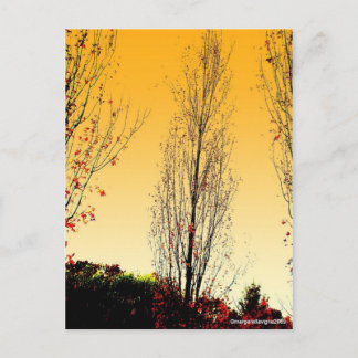 "Lone Sentinel" Briefkaart