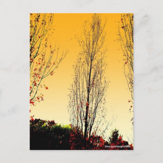 "Lone Sentinel" Briefkaart (Voorkant)