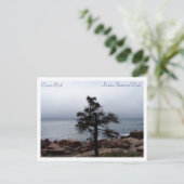 Lone Sentinel op Ocean Path Briefkaart (Staand voorkant)