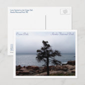 Lone Sentinel op Ocean Path Briefkaart (Voorkant / Achterkant)