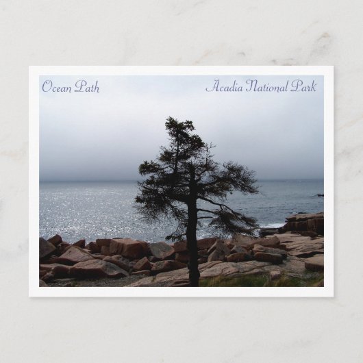 Lone Sentinel op Ocean Path Briefkaart (Voorkant)