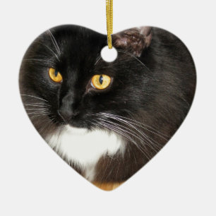 Lone Star Cat Perching op een tafel, foto Keramisch Ornament