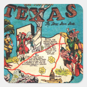 Lone Star-status Vierkante Sticker