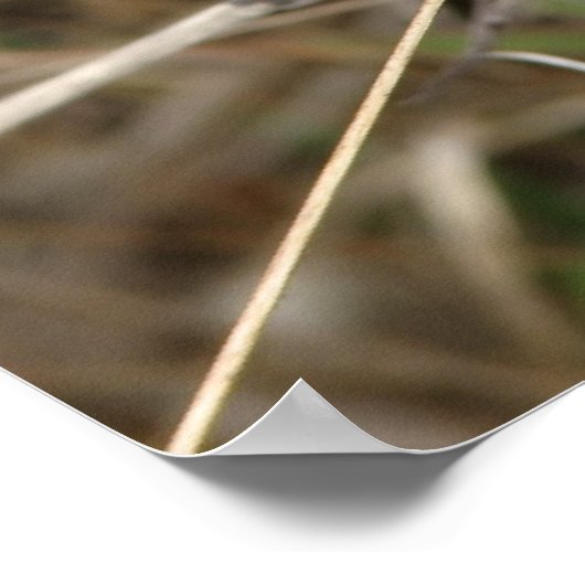 Lone Thistle Poster (Hoek)