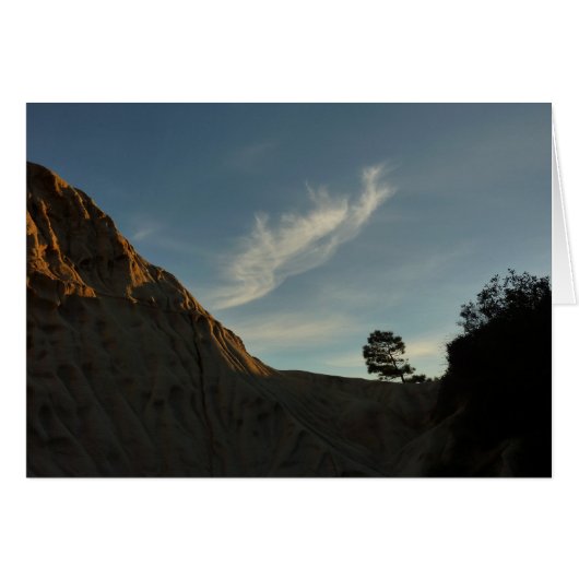 Lone Torrey Pine California Sunset Landschap (Voorkant Horizontaal)
