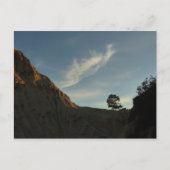 Lone Torrey Pine California Sunset Landschap Briefkaart (Voorkant)
