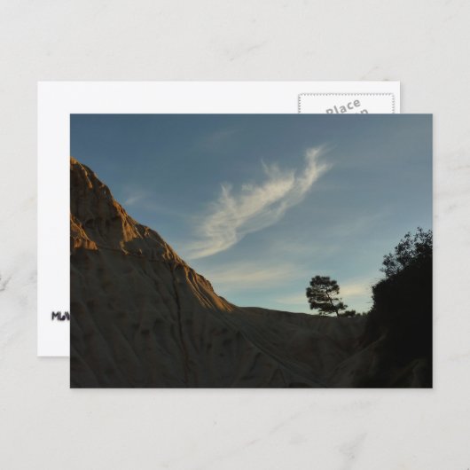 Lone Torrey Pine California Sunset Landschap Briefkaart (Voorkant / Achterkant)