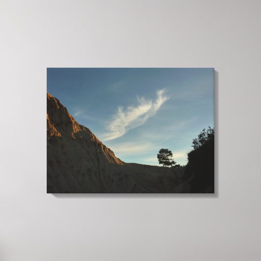 Lone Torrey Pine California Sunset Landschap Canvas Afdruk (Voorkant)