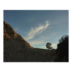 Lone Torrey Pine California Sunset Landschap Foto Afdruk