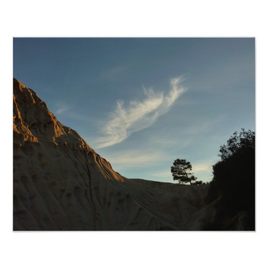 Lone Torrey Pine California Sunset Landschap Foto Afdruk (Voorkant)