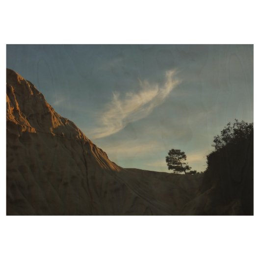 Lone Torrey Pine California Sunset Landschap Houten Poster (Voorkant)