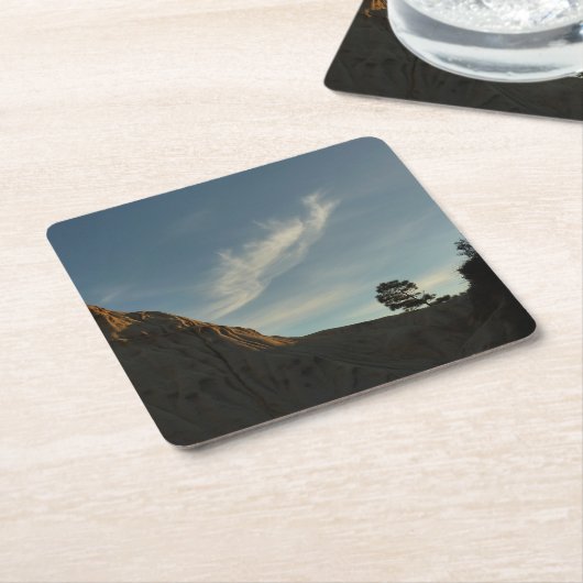 Lone Torrey Pine California Sunset Landschap Kartonnen Onderzetters (Schuin)