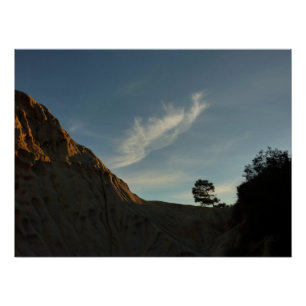 Lone Torrey Pine California Sunset Landschap Poster