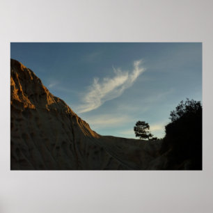Lone Torrey Pine California Sunset Landschap Poster