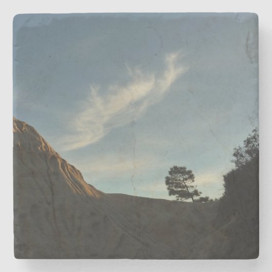 Lone Torrey Pine California Sunset Landschap Stenen Onderzetter (Voorkant)