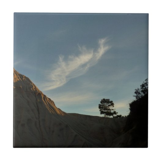 Lone Torrey Pine California Sunset Landschap Tegeltje (Voorkant)