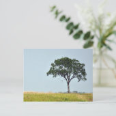 Lone Tree Briefkaart (Staand voorkant)