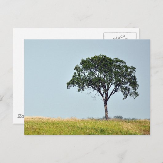 Lone Tree Briefkaart (Voorkant / Achterkant)