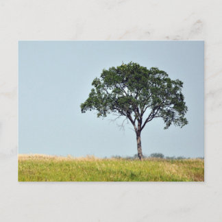 Lone Tree Briefkaart