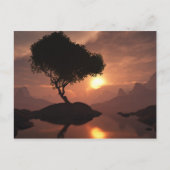 Lone Tree Briefkaart (Voorkant)