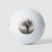 LONE TREE GOLFBALLEN (Voorkant)