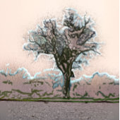 LONE TREE GOLFHEADCOVER