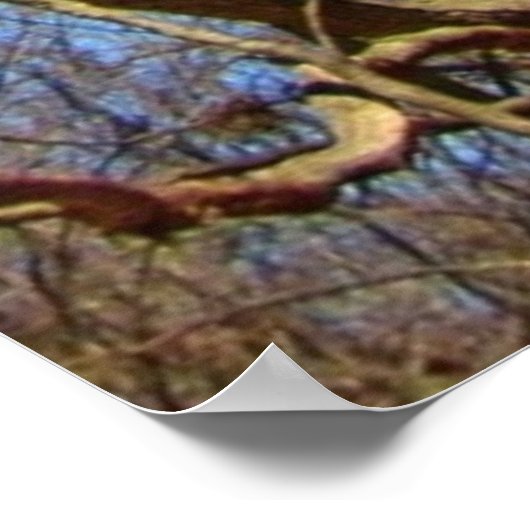 Lone Tree in de winter Poster (Hoek)