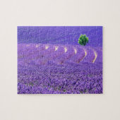 Lone tree in Lavender Field, Frankrijk Legpuzzel (Horizontaal)