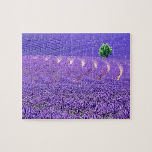 Lone tree in Lavender Field, Frankrijk Legpuzzel (Horizontaal)