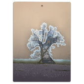 LONE TREE KLEMBORD (Achterkant)