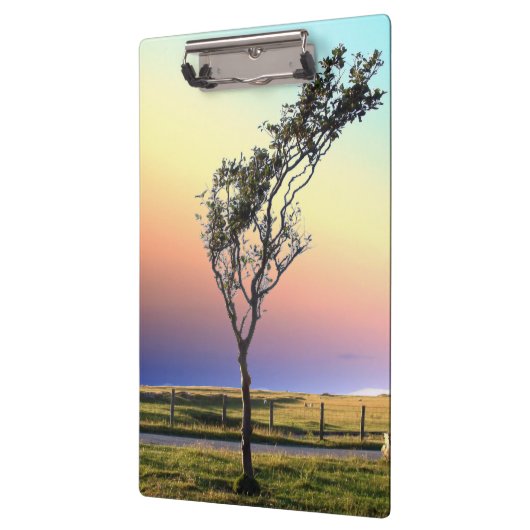 LONE TREE KLEMBORD (Links)