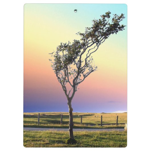 LONE TREE KLEMBORD (Achterkant)