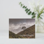 Lone Tree Long Mynd Shropshire Briefkaart (Staand voorkant)