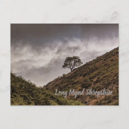 Lone Tree Long Mynd Shropshire Briefkaart