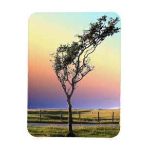 LONE TREE MAGNEET