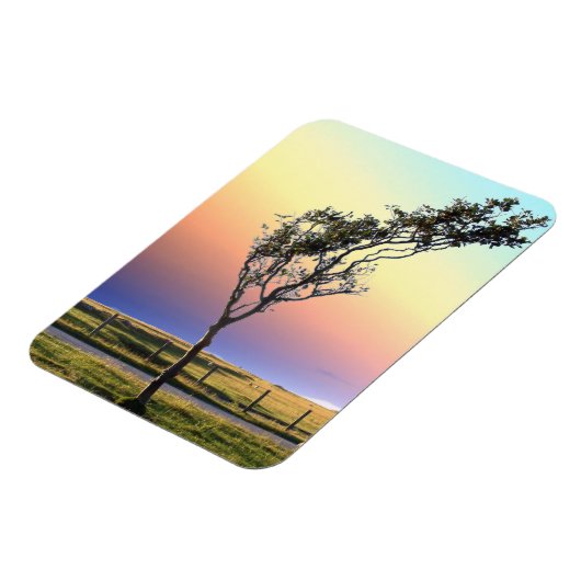 LONE TREE MAGNEET (Linkerzijde)