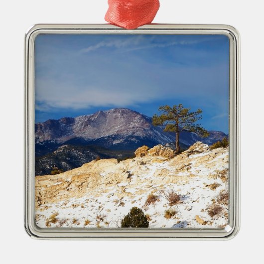 Lone Tree Metalen Ornament (Voorkant)